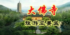 国产插b中国浙江-新昌大佛寺旅游风景区